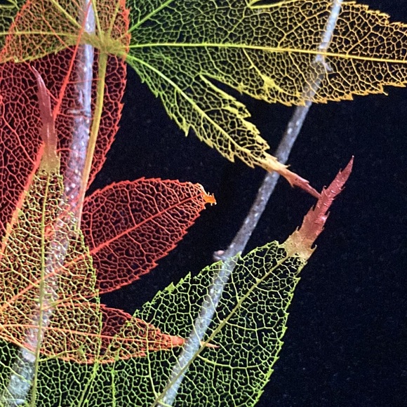 Japanese Maple Leaf Lines Framed Art - Picture 5 of 10